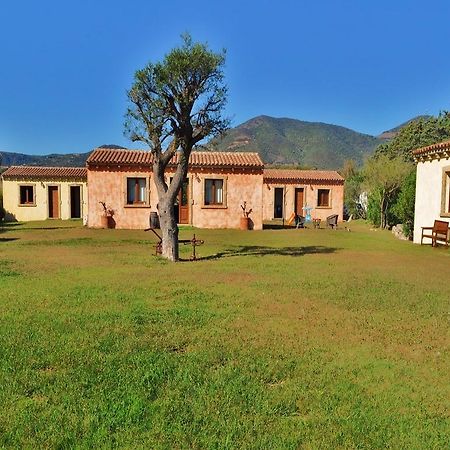 أولبيا B&B Pubulos المظهر الخارجي الصورة