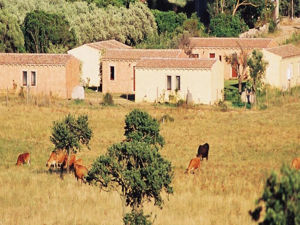 أولبيا B&B Pubulos المظهر الخارجي الصورة